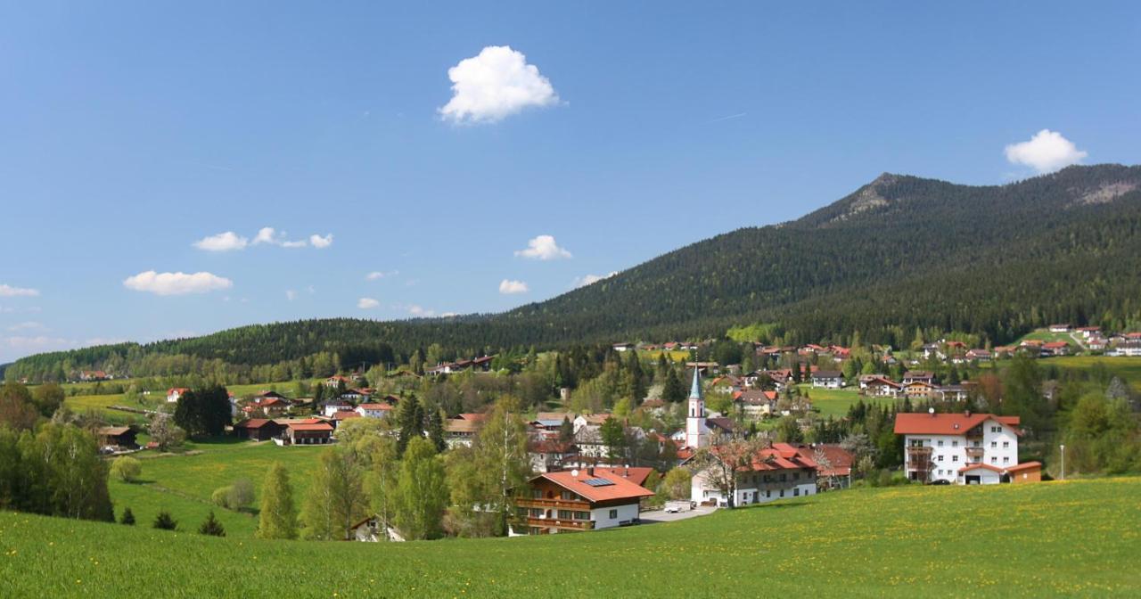 Garnihotel Zur Linde - Bayerischer Wald - Aktivcard Mit 154 Kostenfreien Leistungen - Kostenloser Parkplatz Lohberg Kültér fotó