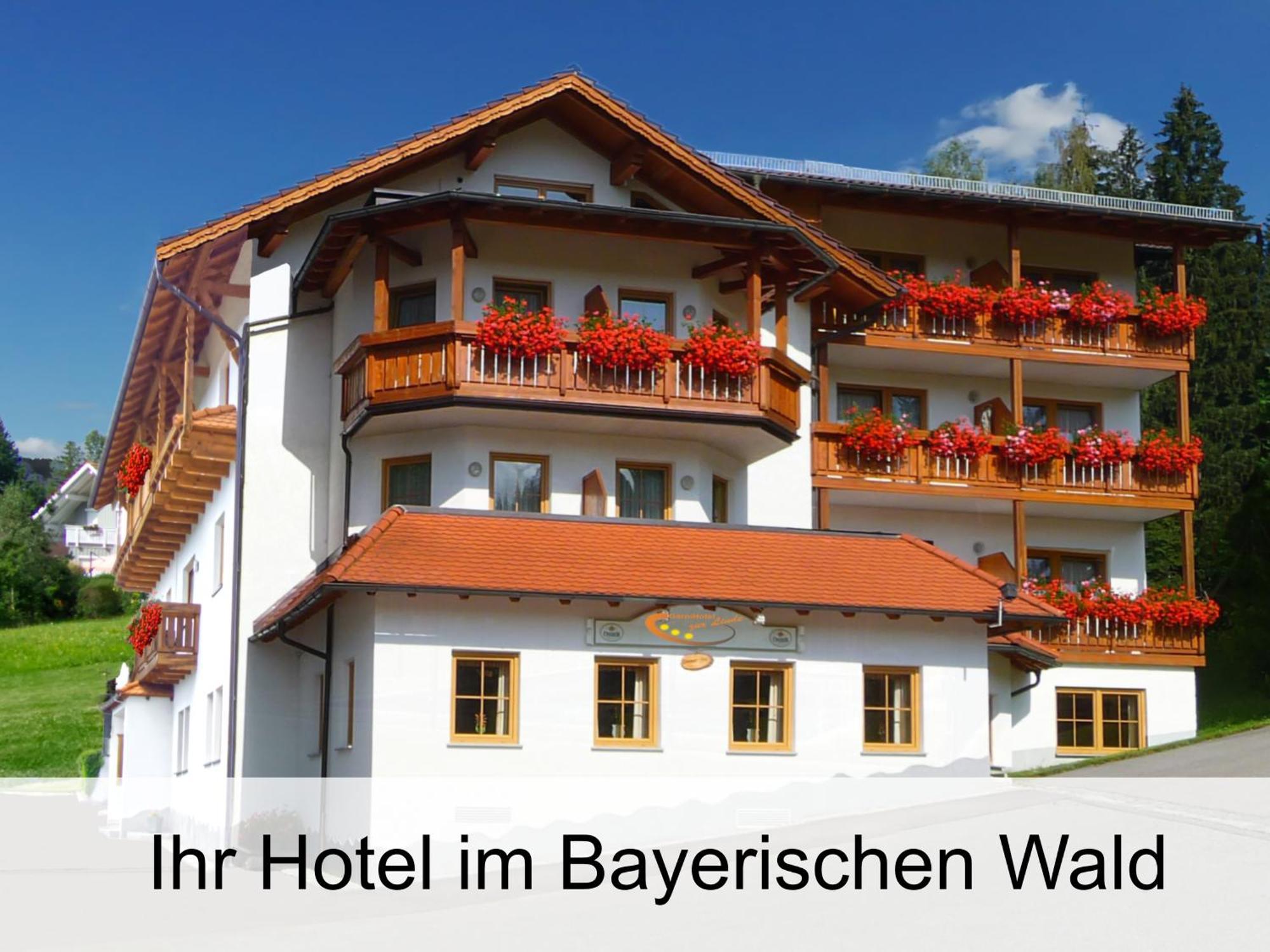 Garnihotel Zur Linde - Bayerischer Wald - Aktivcard Mit 154 Kostenfreien Leistungen - Kostenloser Parkplatz Lohberg Kültér fotó