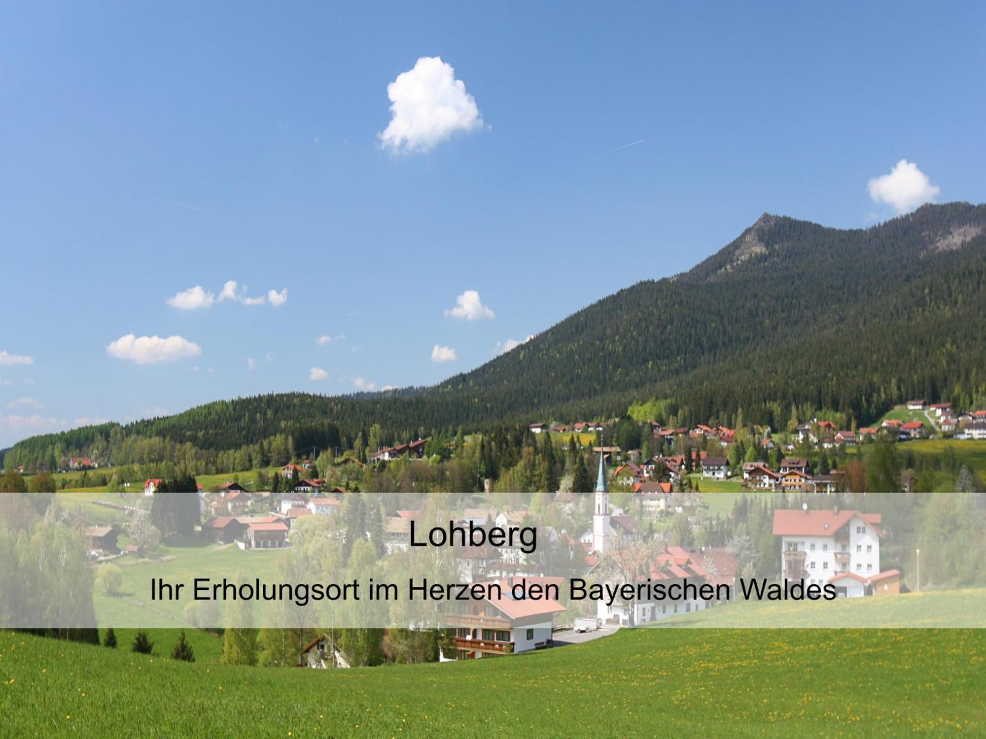 Garnihotel Zur Linde - Bayerischer Wald - Aktivcard Mit 154 Kostenfreien Leistungen - Kostenloser Parkplatz Lohberg Kültér fotó